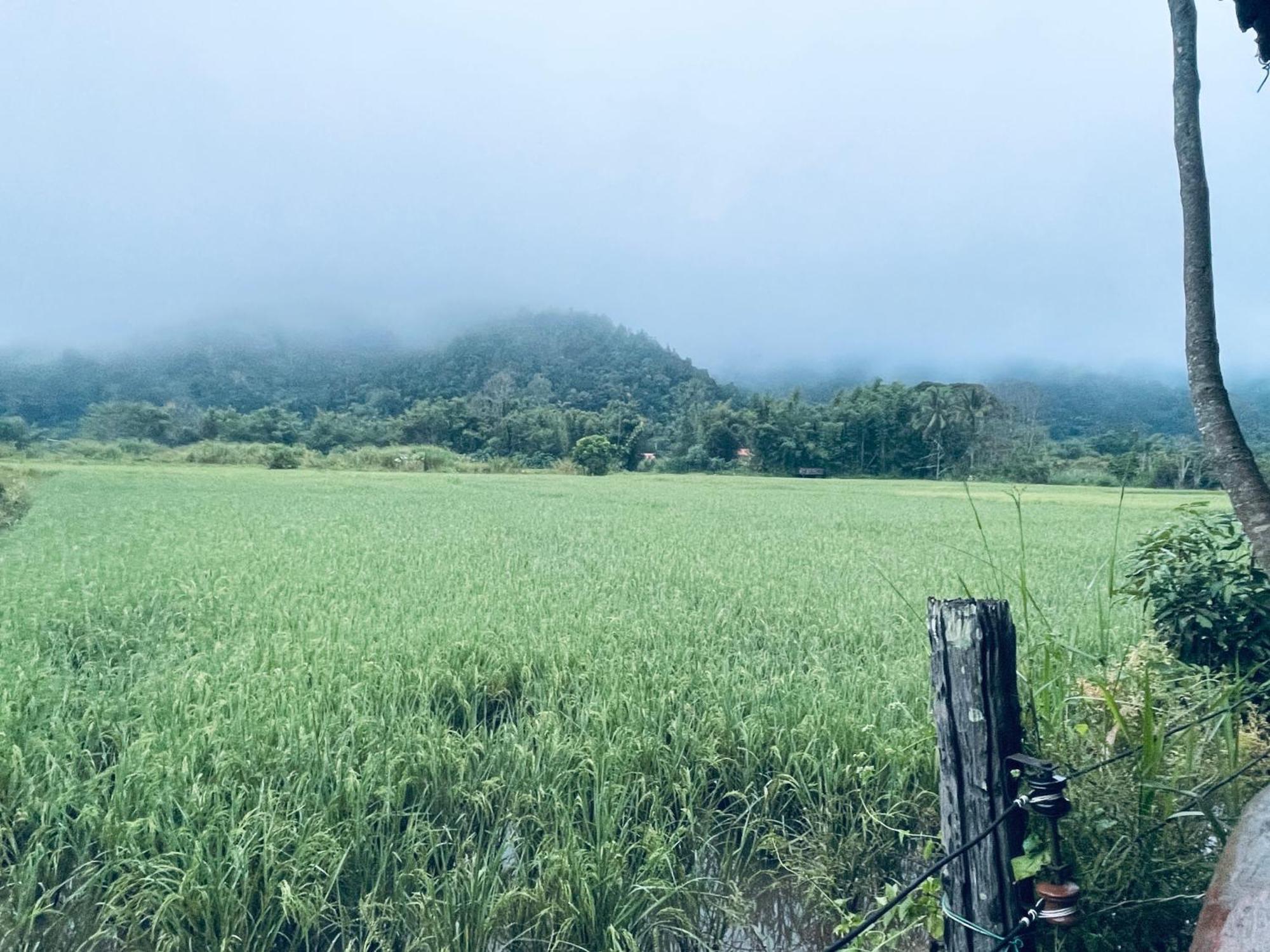 บ้านสวนวิวทุ่ง Ban Mae Sap Nua Exterior foto