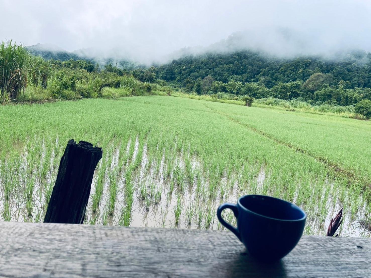 บ้านสวนวิวทุ่ง Ban Mae Sap Nua Exterior foto