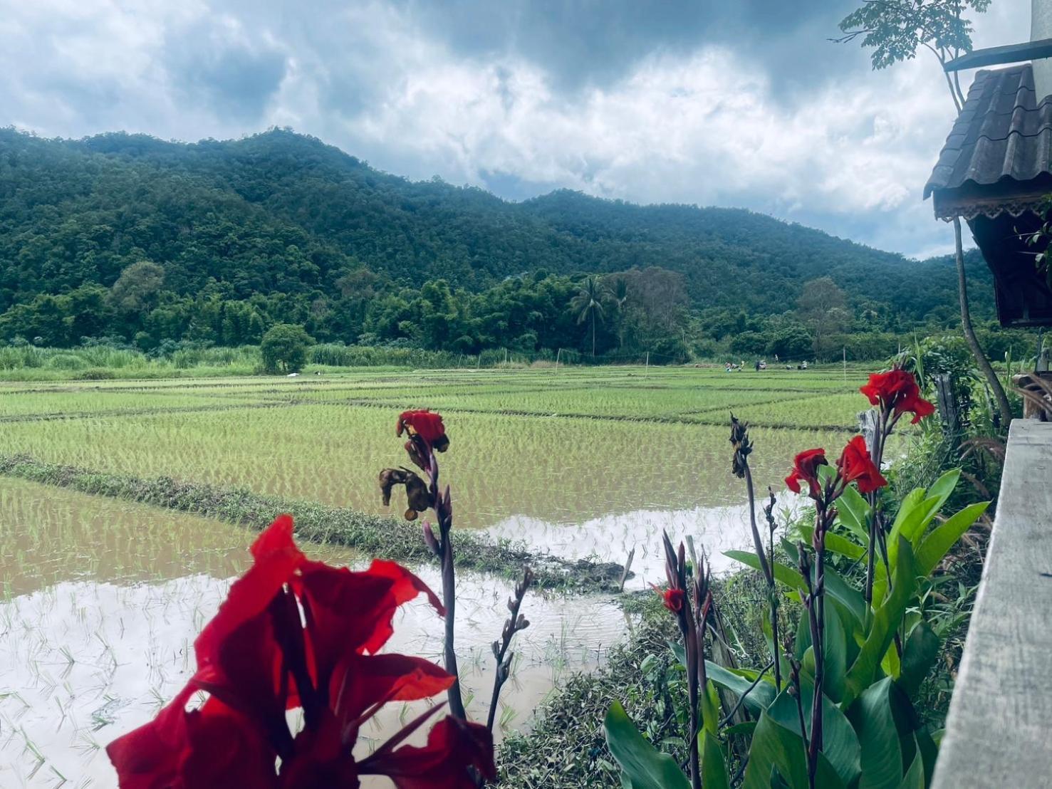 บ้านสวนวิวทุ่ง Ban Mae Sap Nua Exterior foto