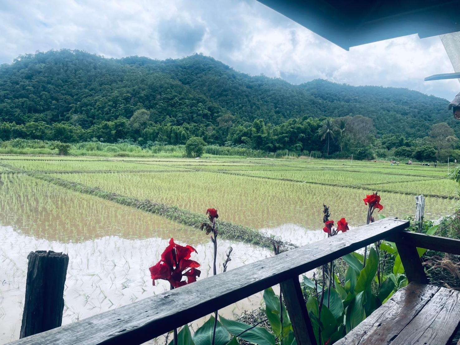 บ้านสวนวิวทุ่ง Ban Mae Sap Nua Exterior foto
